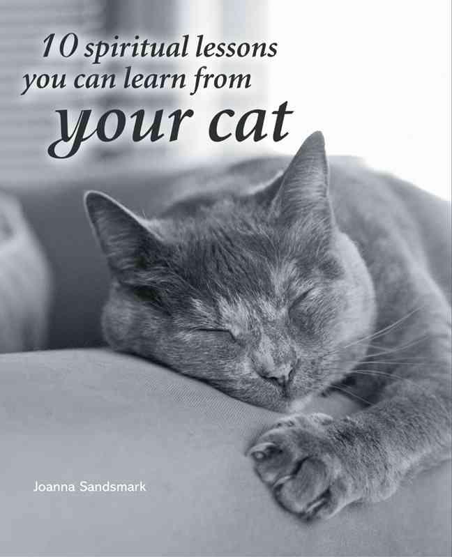 10 Spiritual Lessons You Can Learn From Your Cat