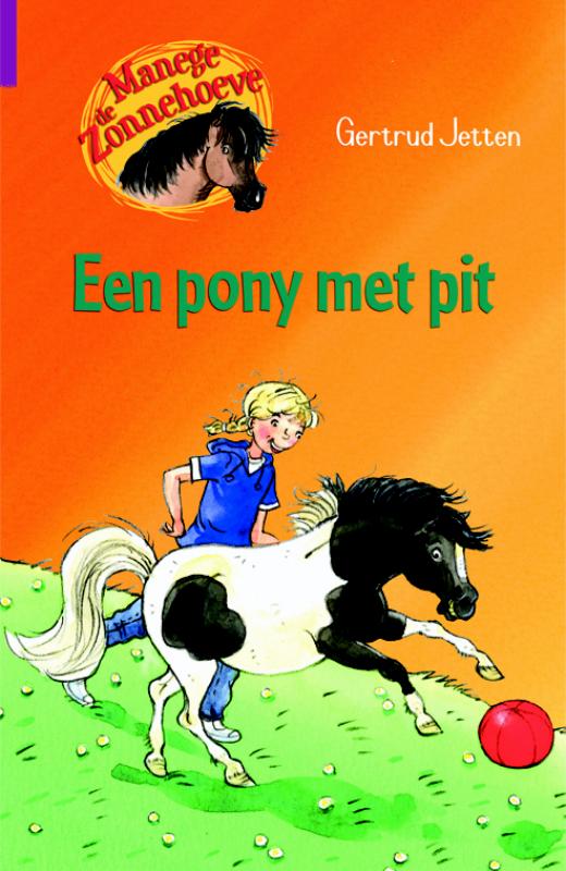 Een pony met pit