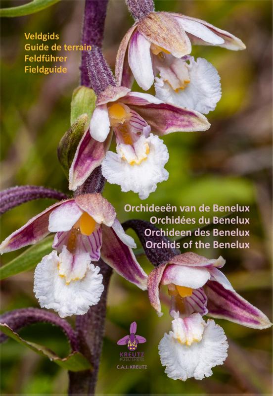 Orchideen van de Benelux