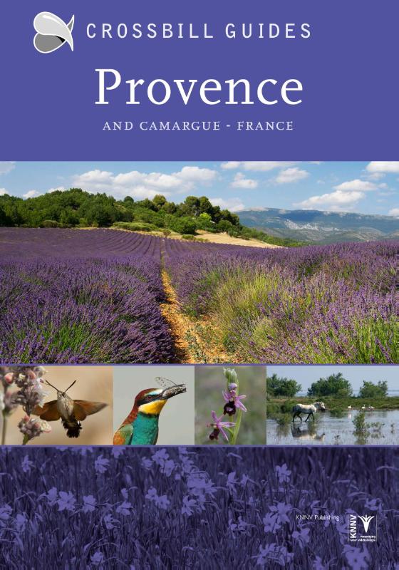 Provence and Camargue