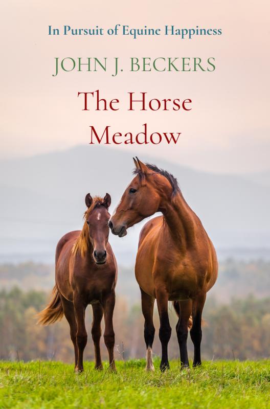 The Horse Meadow