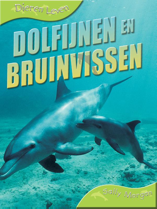 Dolfijnen en bruinvissen