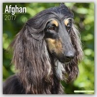 Afghan  - Afghanen 2017