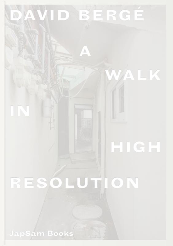 David Berg. A Walk in High Resolution