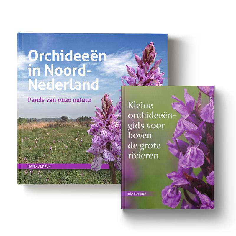Set: Orchideen in Noord-Nederland + Kleine orchideengids