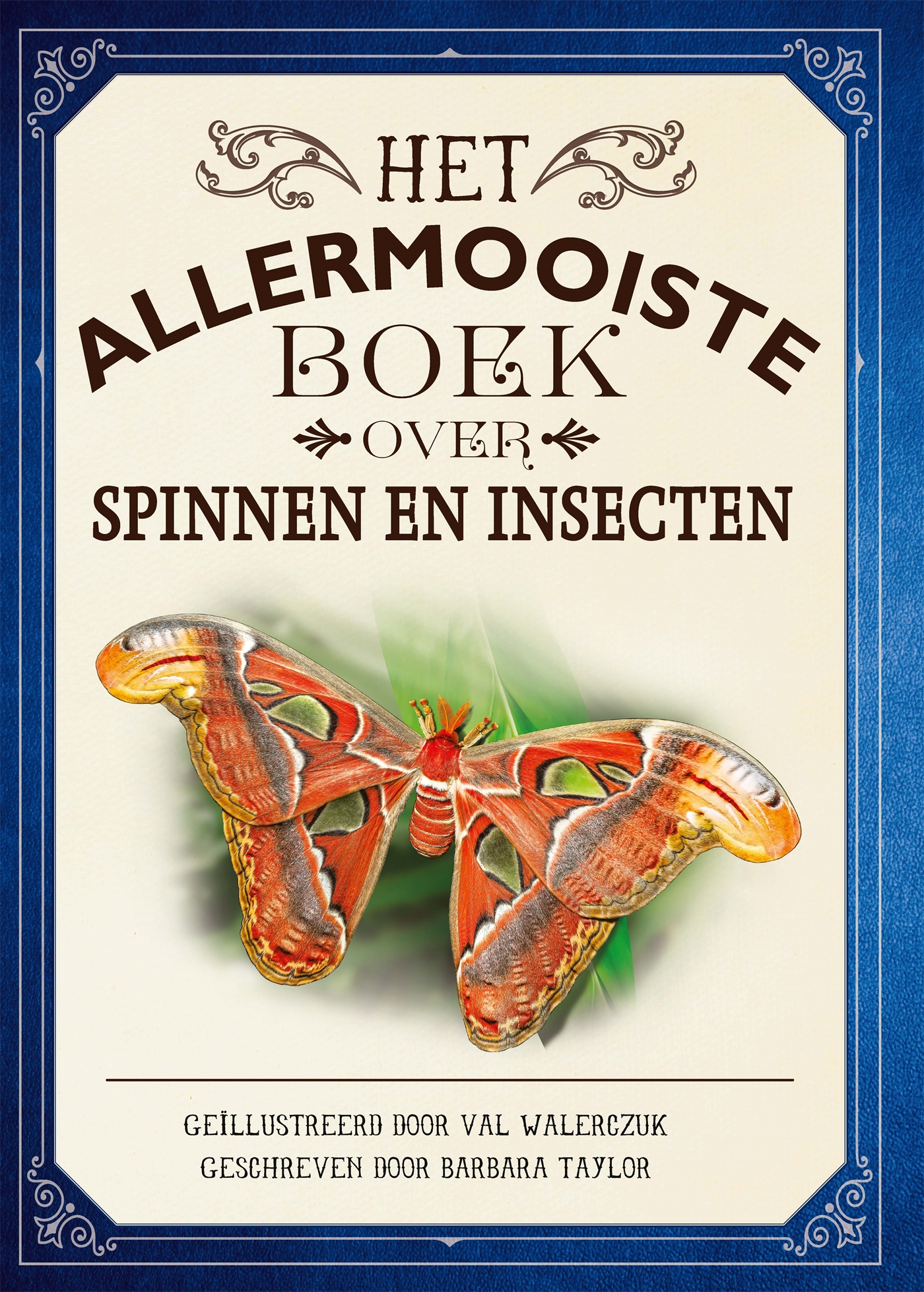 Het allermooiste boek over spinnen en insecten