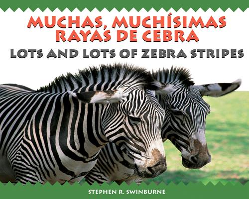 Lots and Lots of Zebra/ Muchas, Muchisimas Rayas De Cebra