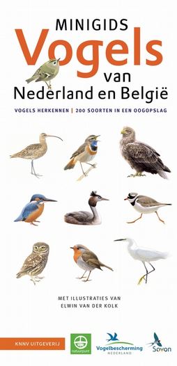 Set Minigids Vogels van Nederland en Belgi