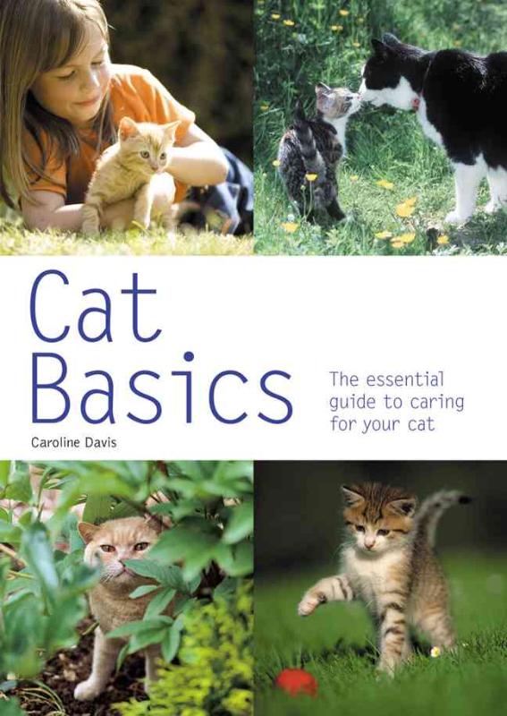 Cat Basics