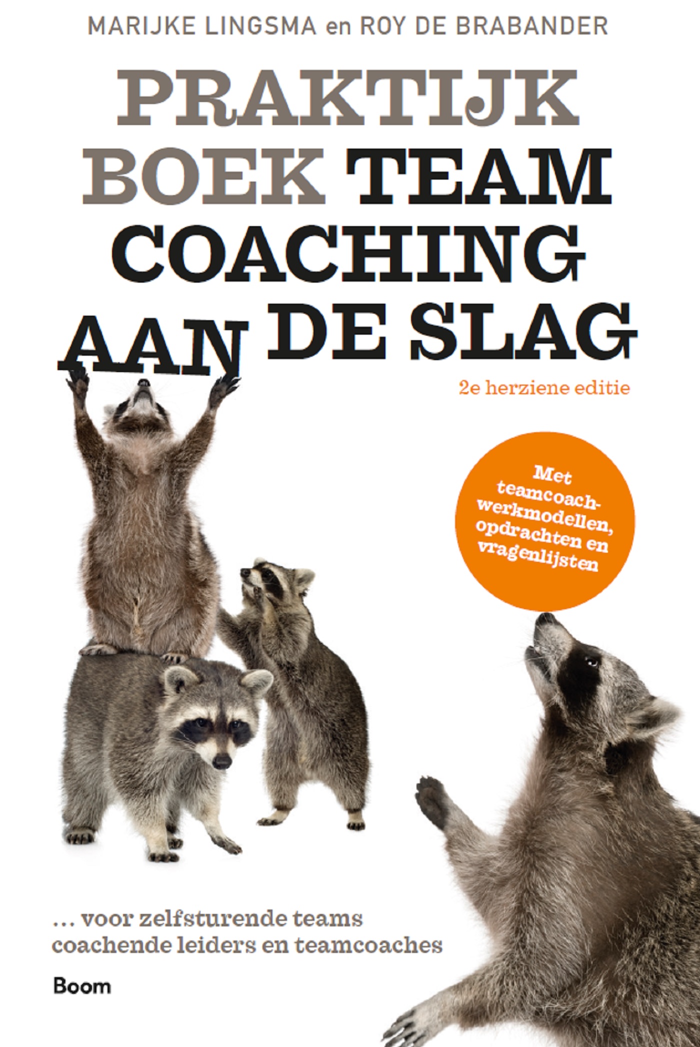 Praktijkboek Teamcoaching, aan de slag