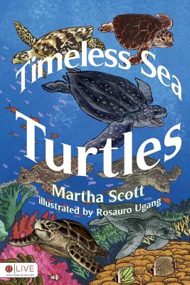 Timeless Sea Turtles