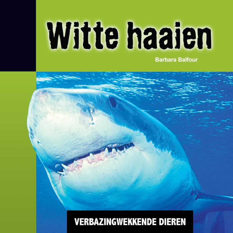 Witte haaien