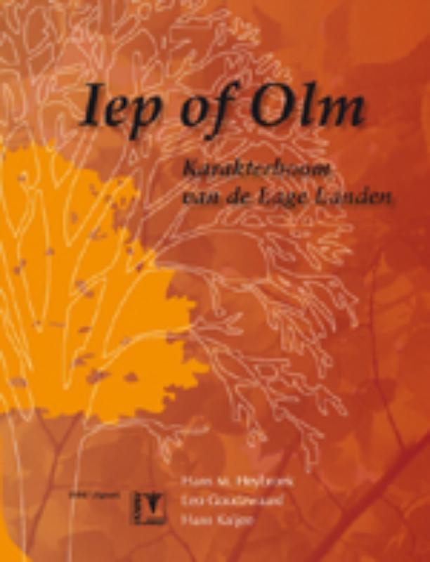 Iep of olm