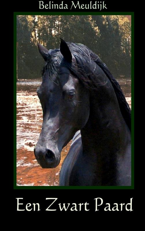 Een zwart paard