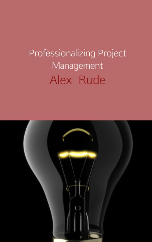 Professionalizing project management